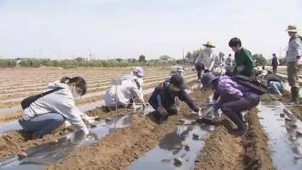 所沢市　市内農家で「親子収穫体験」／埼玉県