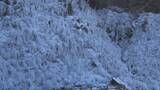 「秩父三大氷柱　あしがくぼの氷柱／埼玉県」の画像1