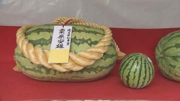 桶川ジャンボスイカコンテスト／埼玉県