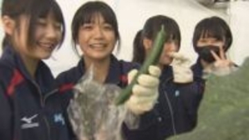 地元の高校生　キュウリの収穫体験／埼玉県加須市