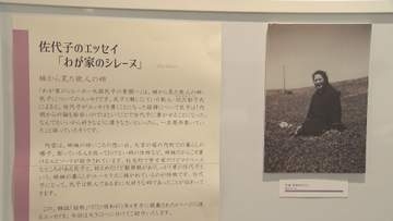 さいたま市立大宮図書館「妹・佐代子　姉・民子」／埼玉県