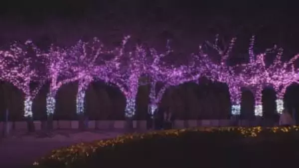 東武動物公園　「ウインターイルミネーション」／埼玉県