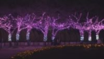 東武動物公園　「ウインターイルミネーション」／埼玉県