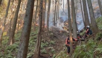 秩父市の山林火災　１２５ヘクタール焼ける／埼玉県