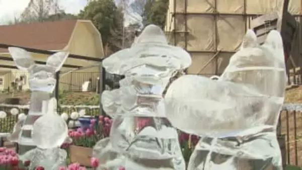 ムーミンバレーパーク　ライブパフォーマンス／埼玉県