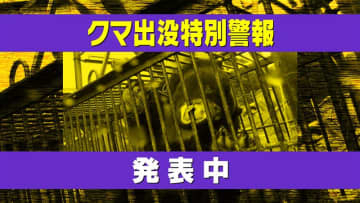 【クマ】民家や高齢者施設の付近などで目撃情報相次ぐ（28日午後6時現在）《新潟》