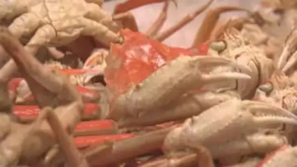 年末年始の準備に観光客も…新潟市内の商業施設も活気であふれる