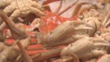 年末年始の準備に観光客も…新潟市内の商業施設も活気であふれる