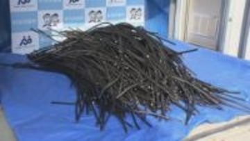 太陽光発電所から時価約216万円の銅線を盗んだ疑い カンボジア国籍の無職の25歳男を逮捕　換金目的とみて捜査《新潟》