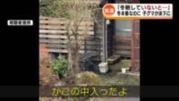 子グマ1頭が住宅の床下に潜り込む　“冬眠しないクマ”に住民から驚きの声　猟友会によって駆除 《新潟》