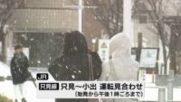 【雪や風の影響】鉄道や航空機など交通機関に乱れ　運転見合わせも《新潟》