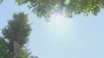 【1か月予報】向こう1か月も気温高い見込み　16日以降かなり高くなる時期も《新潟》