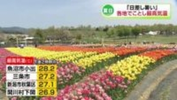 「もう夏みたい」県内各地で夏日を観測　魚沼市で28.2℃7月上旬並みに《新潟》