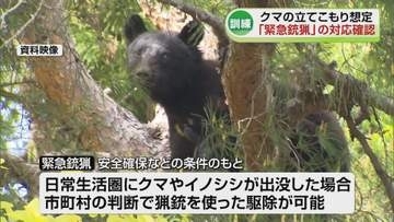 【訓練】クマが建物に… 緊急銃猟の対応確認　冬眠前に出没が増える季節《新潟》