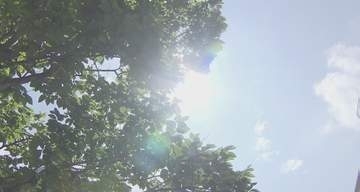 新潟市秋葉区で34.7℃　猛暑日に迫る暑さ　8月上旬並みとなったところも《新潟》