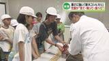 「【暑さに強いコメ】小学生が新潟大学で「新大コシヒカリ」を学習　児童が“見て・触って・食べて”《新潟》」の画像1