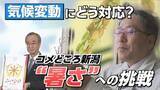 「【特集】気候変動にどう立ち向かう？コメどころ新潟“暑さ”への挑戦《新潟》」の画像1