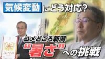 【特集】気候変動にどう立ち向かう？コメどころ新潟“暑さ”への挑戦《新潟》