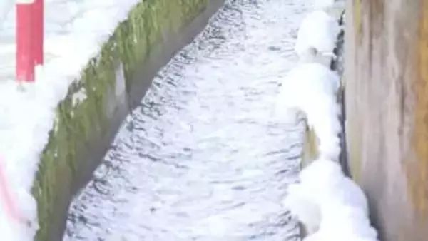 用水路に転落した70代の男性を救出　4人の男女に感謝状が贈られる《新潟》