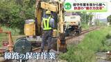 「JR越後線で日中に鉄道の保守作業　明るい時間で様々なメリット《新潟》」の画像1