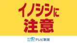 「「住宅軒下の倉庫に…」魚沼市でイノシシの緊急銃猟を実施　県内でイノシシの緊急銃猟は初《新潟》」の画像1
