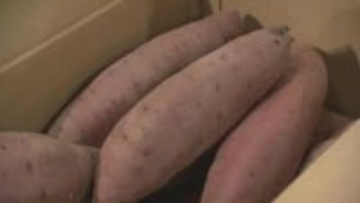 「サツマイモ」でほっこり 恋しい季節に　「いもジェンヌ」「しるきーも」県内でも多くのブランド栽培 《新潟》