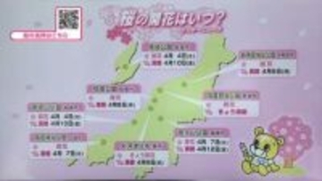 【サクラ】開花や満開の予想　お花見はいつ行く？県内の開花状況やお天気は《新潟》