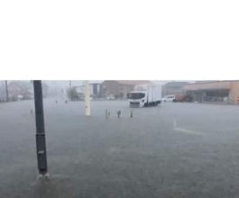 【大雨の影響】新潟市が江南区の一部に避難指示　市内各地で道路が冠水　一部で通行止めも　新潟市に「レベル４大雨危険警報」「レベル４土砂災害危険警報」発表中