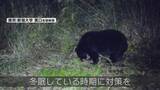 「【特集】冬眠している今　春に向けたクマ対策は《新潟》」の画像1