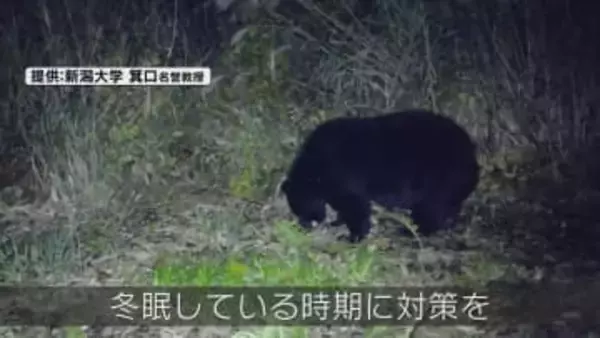 【特集】冬眠している今　春に向けたクマ対策は《新潟》