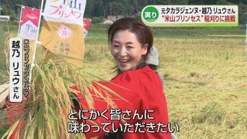 元タカラジェンヌ・越乃リュウさんが稲刈りに挑戦　柏崎産コシヒカリ「米山プリンセス」《新潟》