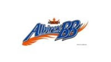新潟アルビBB　岡山下し準決勝進出決める
