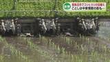 「【コメ】南魚沼市でコシヒカリの田植え　ことしは中東情勢の影響も《新潟》」の画像1