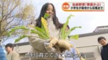 300年の歴史　小学生が地元の伝統野菜「寄居かぶ」を収穫　飲食店で特別メニューとして提供へ 《新潟市》