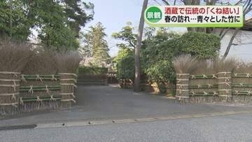 【春告げる】酒蔵で伝統の「くね結い」　竹でできた垣根を結い直す行事《新潟》