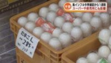 【影響】卵価格が高騰…広がる不安の声　鳥インフルエンザ 県内今季初確認から1週間 《新潟》