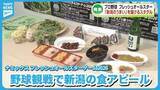 「【発表】いよいよプロ野球フレッシュオールスター新潟開催　新潟の「うまい」を届けるスタジアムグルメ企画《新潟》」の画像1