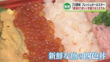 【発表】いよいよプロ野球フレッシュオールスター新潟開催　新潟の「うまい」を届けるスタジアムグルメ企画《新潟》