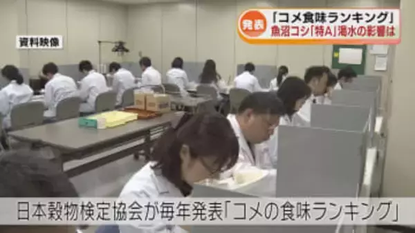 【コメの食味ランキング】　魚沼コシヒカリは8年連続「特A」　渇水被害受けたコメ農家は 《新潟》