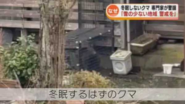 12月なのにクマの出没相次ぐ　専門家「とくに雪の少ない地域では警戒続けて」