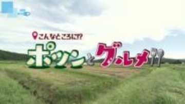【グルメ特集】こんなところに!?ポツンとグルメ⑦田んぼの脇にポツン　“厳選そば粉”を使用　受け継がれた手打ちそば《新潟》