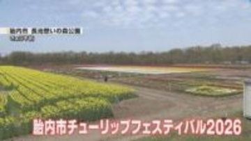【絶景】チューリップや菜の花が咲き誇る　胎内市チューリップフェスティバル　気温上昇で予定より3日早くプレオープン《新潟》