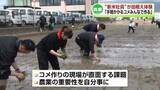 「米菓メーカー亀田製菓の“新米社員”が田植え体験「手間かかるコメみんなで作る」《新潟》」の画像1