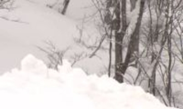 「パウダースノーが滑りたかった」コース外れ滑走　台湾からスノボに来ていた30代男性を救助《新潟・妙高》