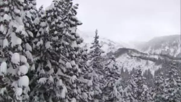 【続報】南魚沼市のスキー場コース外でスノボ滑走中　カナダ国籍の39歳女性が滝つぼに転落し搬送されるも死亡確認《新潟》