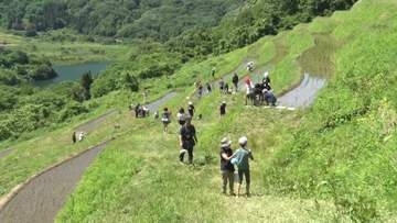 耕作放棄地が増加　棚田の役割について小学生が体験学習《新潟》