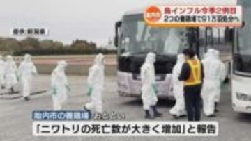 養鶏場で鳥インフルエンザ「陽性」 今シーズン2例目　2つの養鶏場で計91万羽処分へ 《新潟・胎内市》