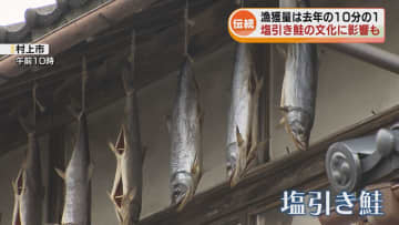 【伝統】村上市の塩引き鮭の文化…不漁で存続に影響も　漁獲量は去年の10分の1に 《新潟》
