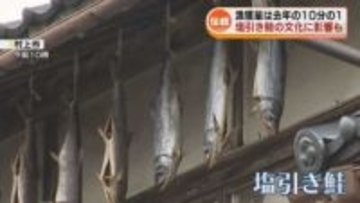 【伝統】村上市の塩引き鮭の文化…不漁で存続に影響も　漁獲量は去年の10分の1に 《新潟》