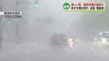 「新潟市で一時激しい雨 1時間に33ミリ観測　臨時休館の施設も　3日にかけても激しい雨のおそれ《新潟》」の画像1